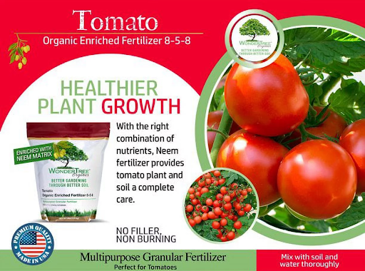 Growing Juicy Tomatoes: How Organic Tomato Fertilizer Supports Plant and Soil Health